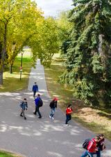 students walking on a pathway in summer